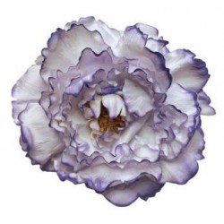 10T-Peonia-teñida