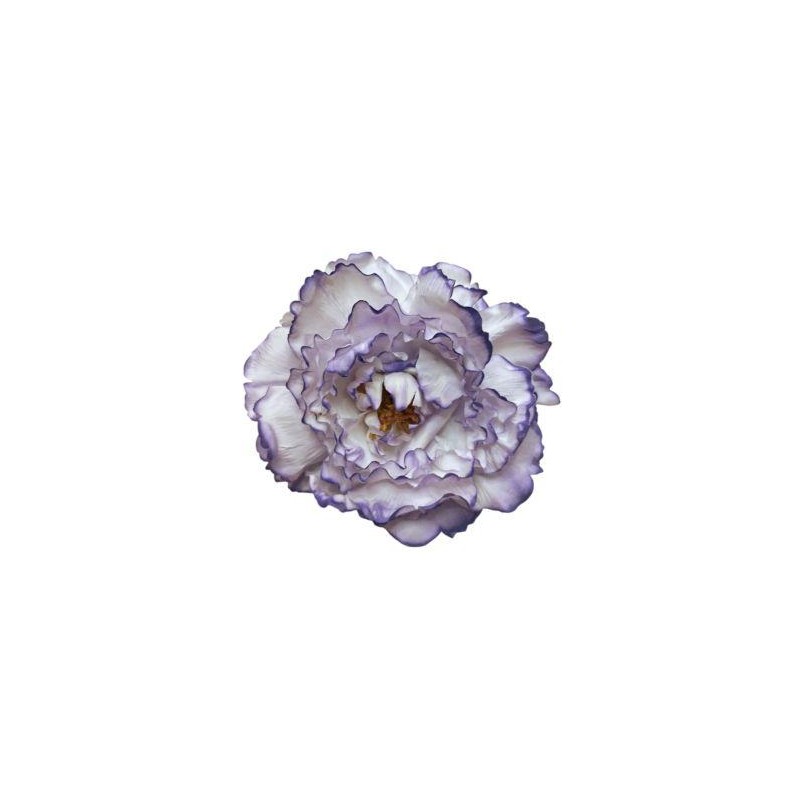 10T-Peonia-teñida