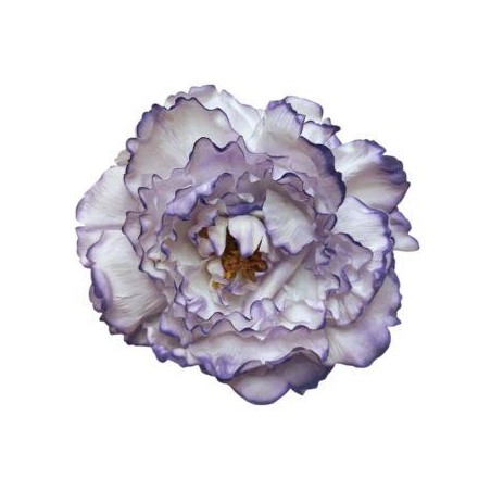 10T-Peonia-teñida