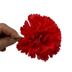 Clavel Pequeño