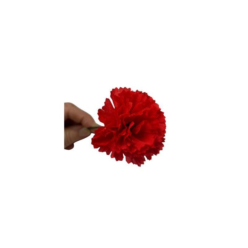 Clavel Pequeño