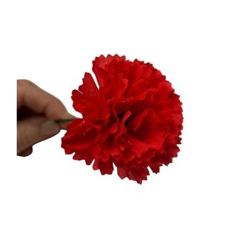 Clavel Pequeño