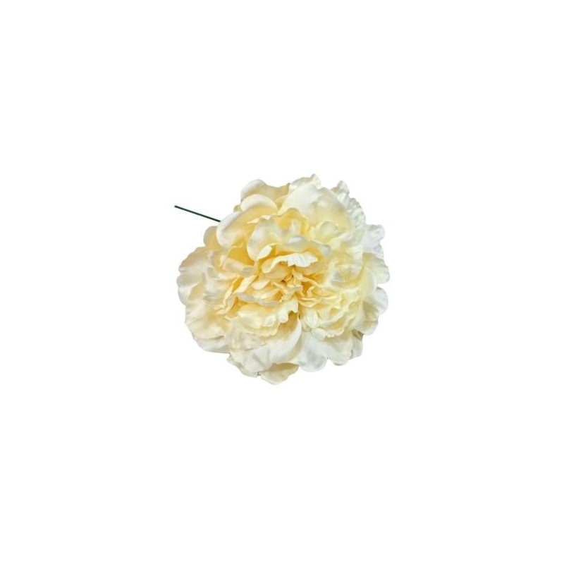 10T-Peonia-teñida