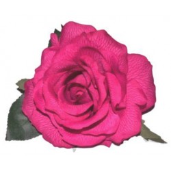 Rosa Del Sur