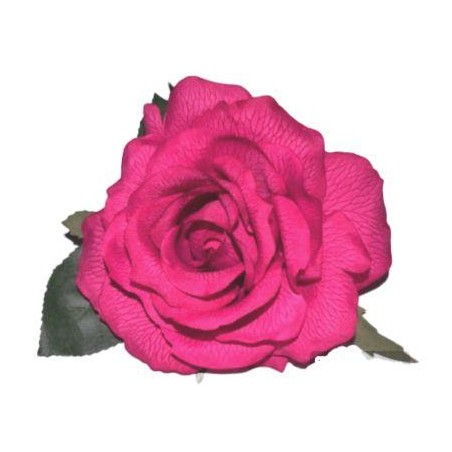 Rosa Del Sur